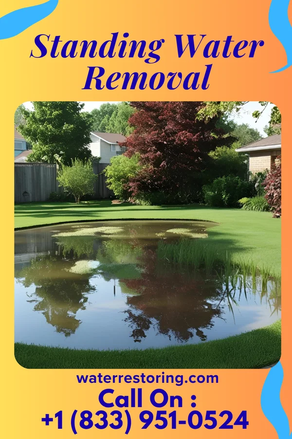 Standing Water Removal in Turin, IA